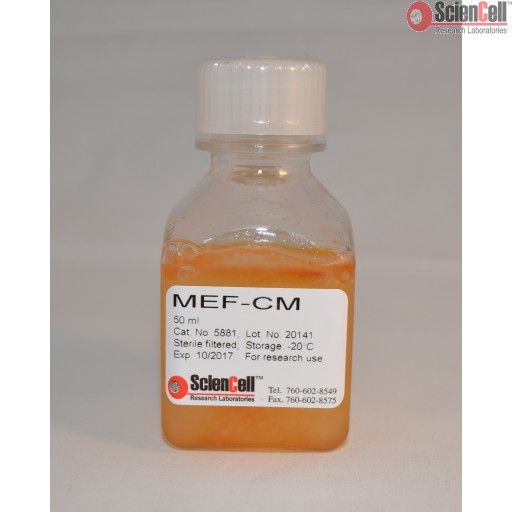 ScienCell小鼠胚胎成纤维细胞培养基MEF-cm（货号5881）