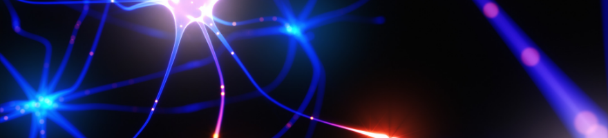 神经科学（Neuroscience）的研究