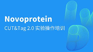 丁香实验推荐阅读