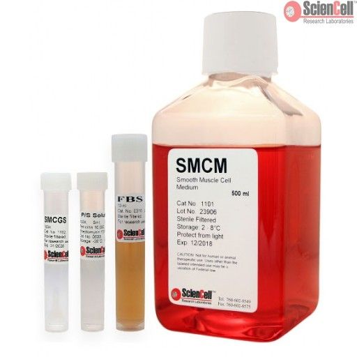 ScienCell平滑肌细胞培养基SMCM（货号1101）
