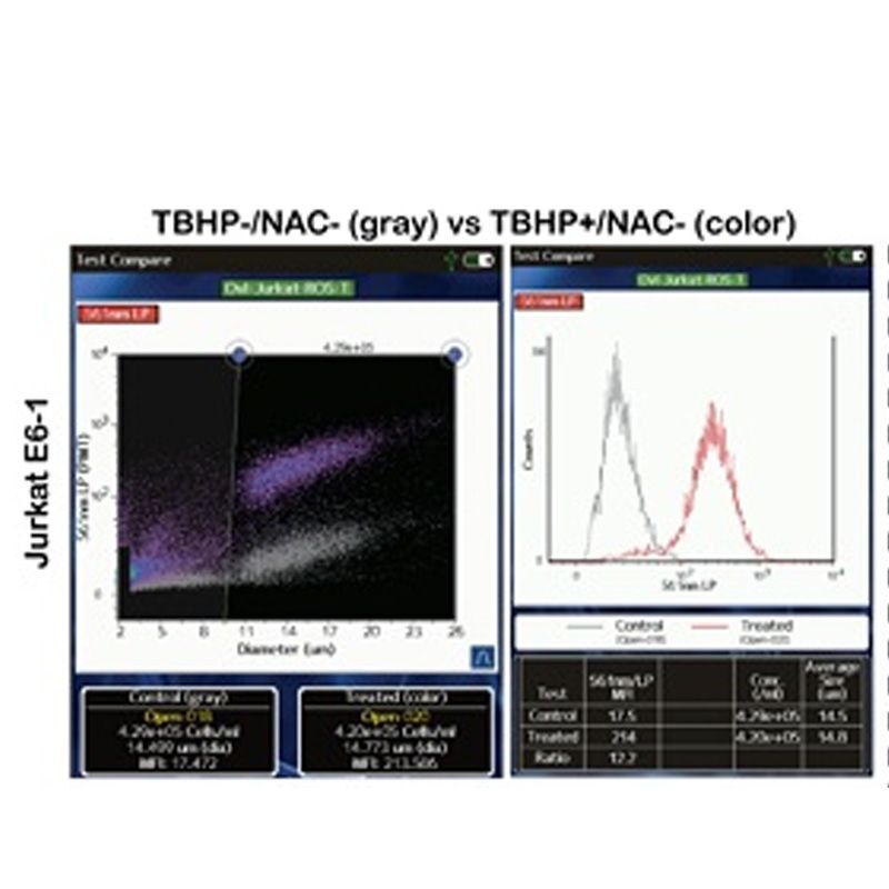 流式活性氧检测ROS检测