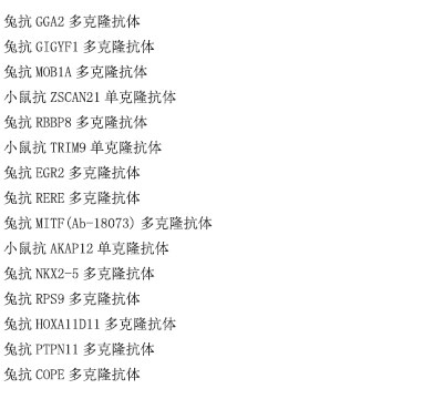 小鼠抗NOS3单克隆抗体