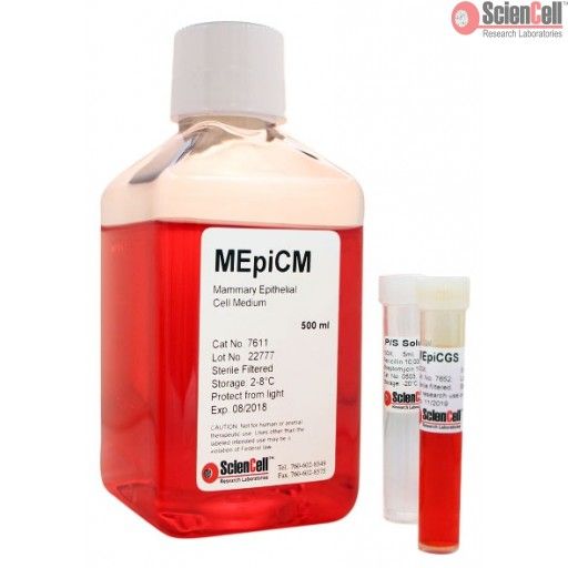 ScienCell 乳腺上皮细胞培养基MEpiCM（货号7611）