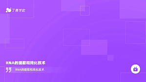 丁香实验推荐阅读