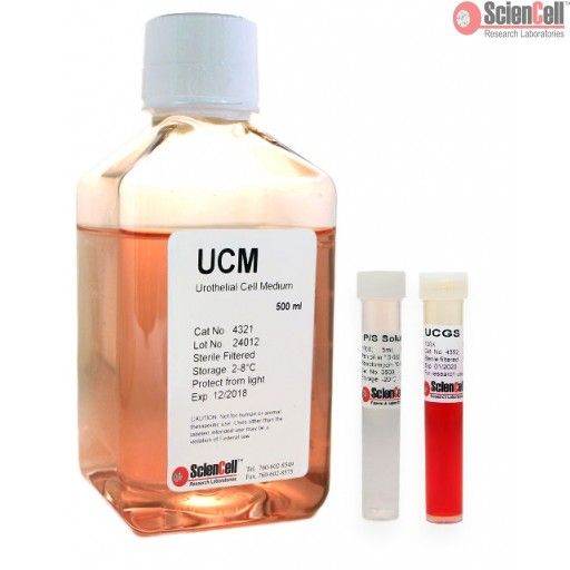 ScienCell 尿道上皮细胞培养基UCM（货号4321）