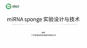 丁香实验推荐阅读