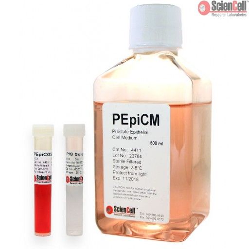 ScienCell 前列腺上皮细胞培养基PEpiCM（货号4411）