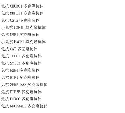 兔抗IL1R1多克隆抗体