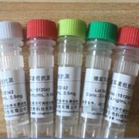 小鼠抗疟疾单克隆抗体