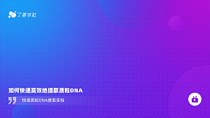 丁香实验推荐阅读