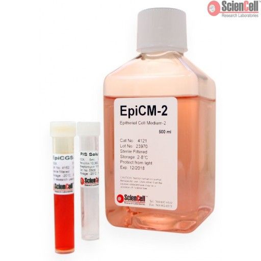 ScienCell 上皮细胞培养基-2EpiCM-2（货号4121）