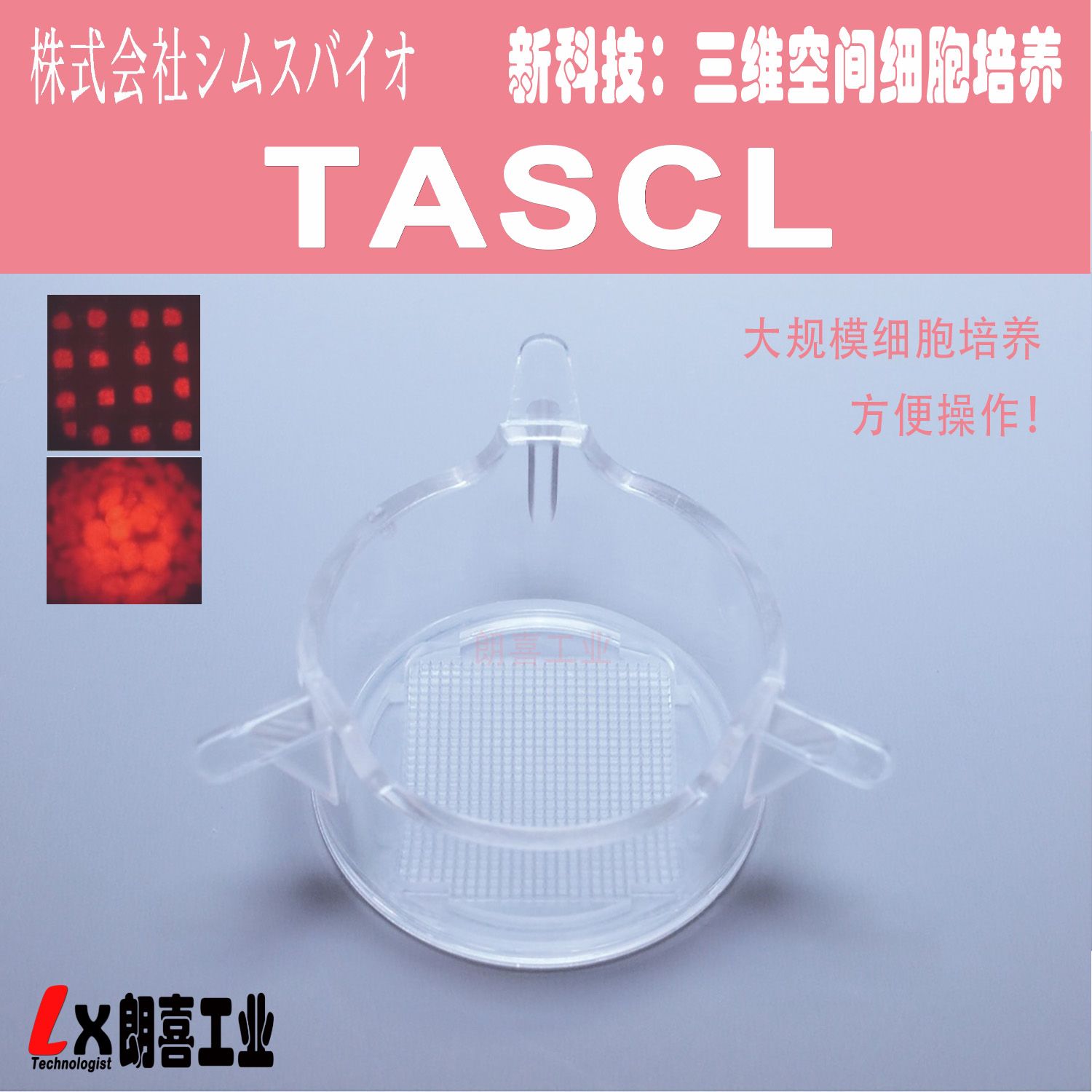 诱导分化新科技！TASCL-3D细胞培养板