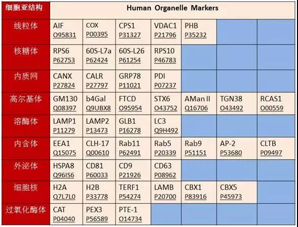 选择什么样的内参？连老司机都不知道的窍门！
