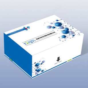 大鼠丙二醛（MDA）ELISA试剂盒