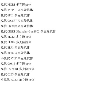 兔抗LAMA5多克隆抗体
