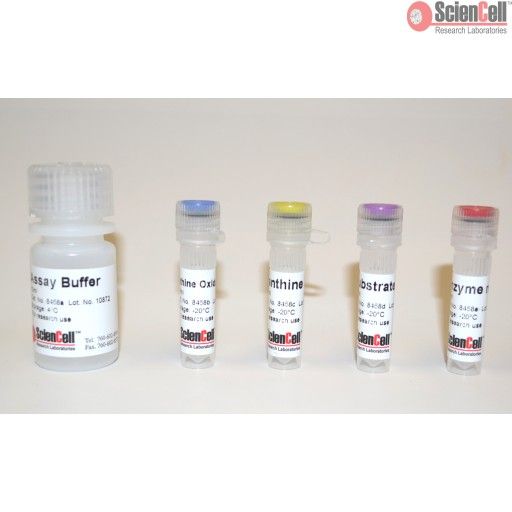 黄嘌呤氧化酶分析试剂盒