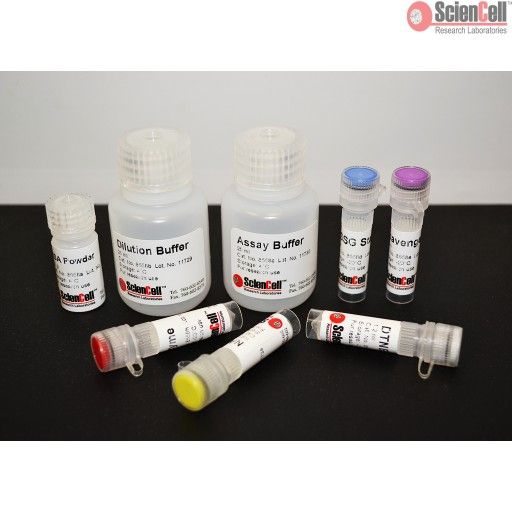 谷胱甘肽/氧化型谷胱甘肽比率检测试剂盒