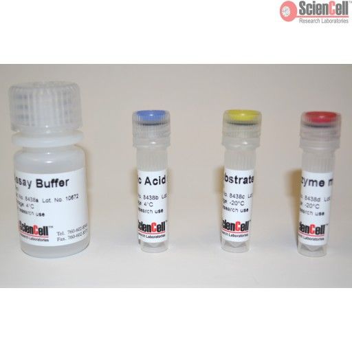 尿素检测试剂盒