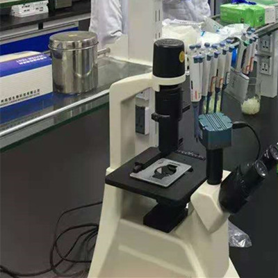 脱氢抗坏血酸还原酶DHAR活性测试盒