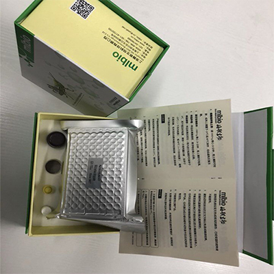 酪氨酸解氨酶TAL测试盒