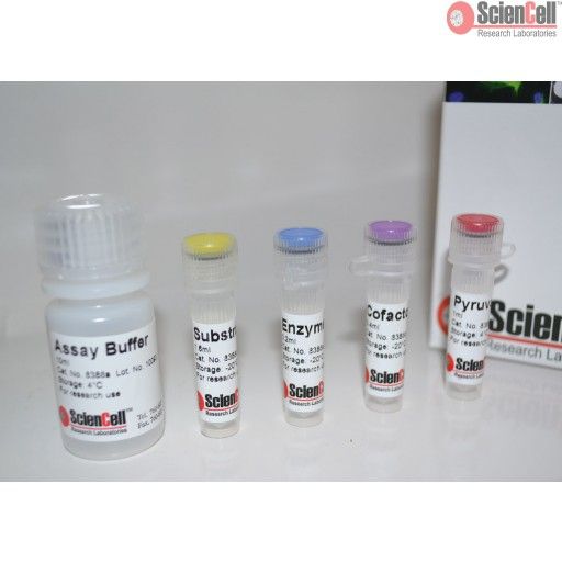 丙-酮酸检测试剂盒