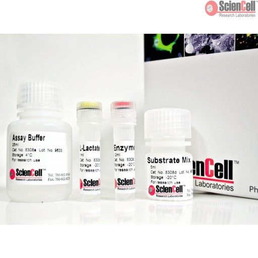 L  - 乳酸含量分析试剂盒