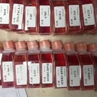 HCC-70、HCC-70细胞、HCC70细胞、HCC70、人乳腺导管癌细胞/STR鉴定