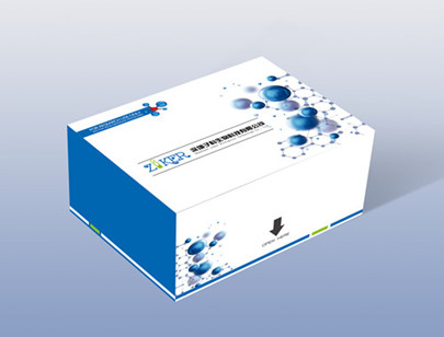 人促卵泡素（FSH）ELISA检测试剂盒