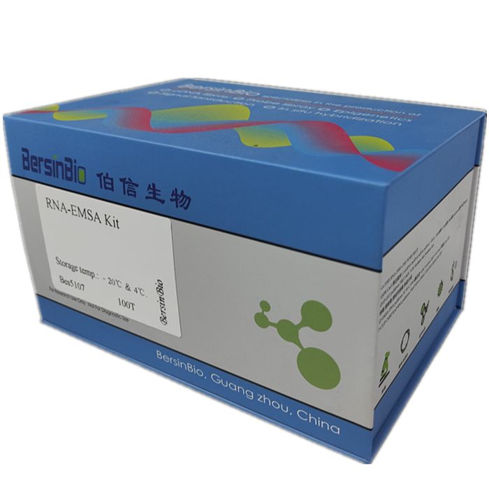RNA-EMSA 试剂盒（RNA-EMSA Kit，12T）