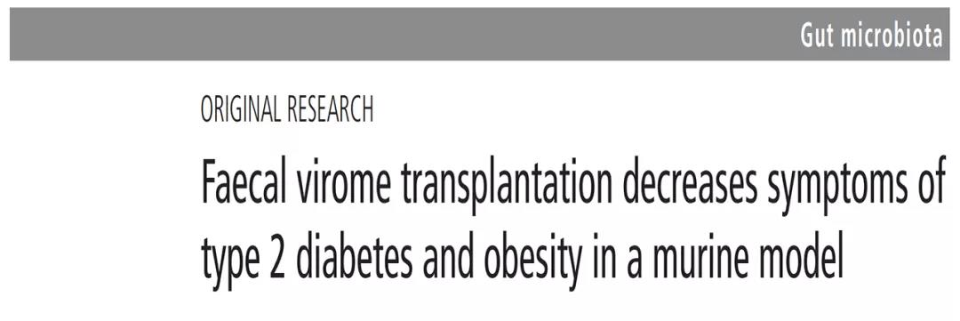 文献分享 | 移植粪便病毒组，改善小鼠糖尿病和肥胖