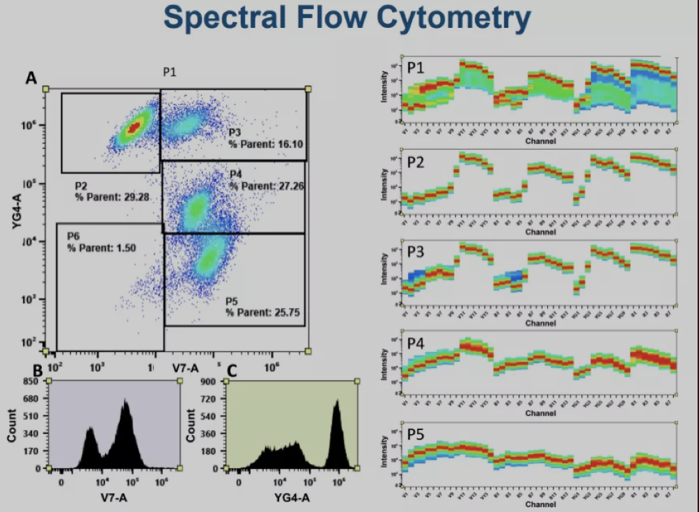 光谱流式奇妙之旅---不用荧光染料也做漂亮实验