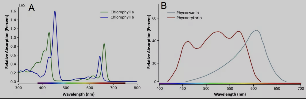 光谱流式奇妙之旅---不用荧光染料也做漂亮实验