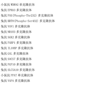 兔抗HPCA多克隆抗体