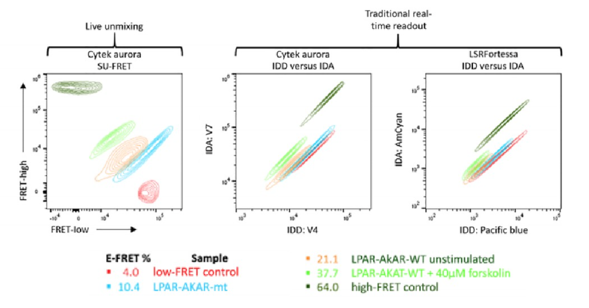 Cytek全光谱流式新玩法，实时解析活细胞内荧光共振能量转移（FRET）