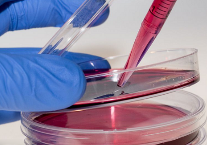 细胞培养好的关键要素