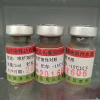 鸡毒支原体虎红血清平板凝集试验抗原、阳性血清与阴性血清