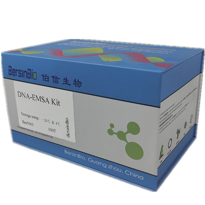 DNA-EMSA 试剂盒（DNA-EMSA Kit，12T）