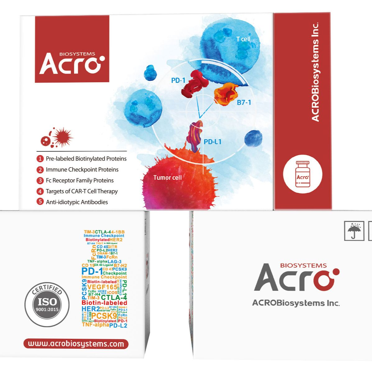 人 Coagulation factor VII 蛋白, His 标签