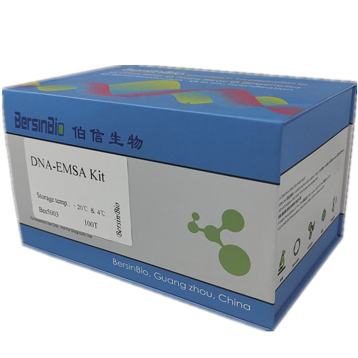 DNA-EMSA 试剂盒（DNA-EMSA Kit，100T）
