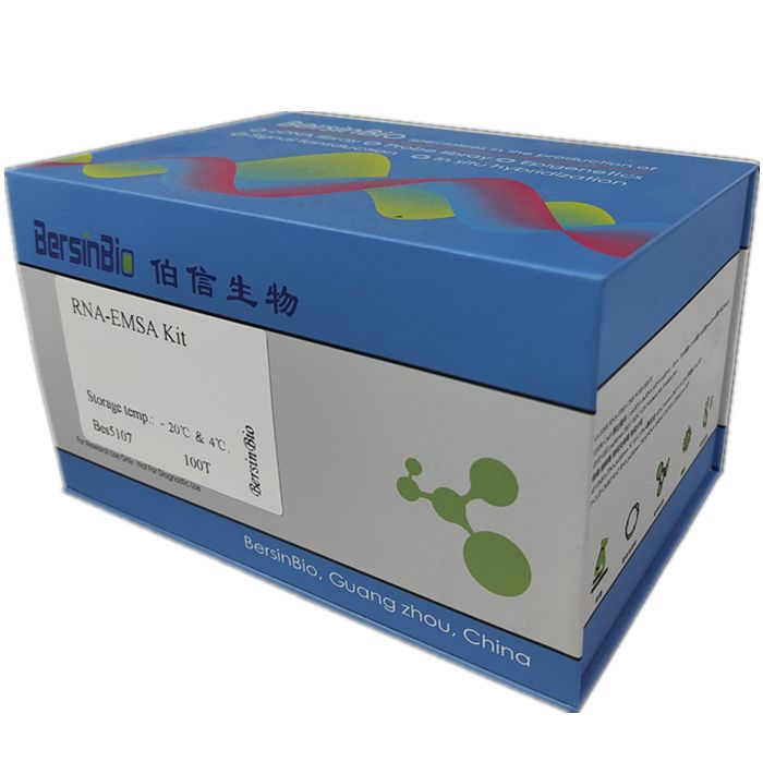 RNA-EMSA 试剂盒（RNA-EMSA Kit，100T）