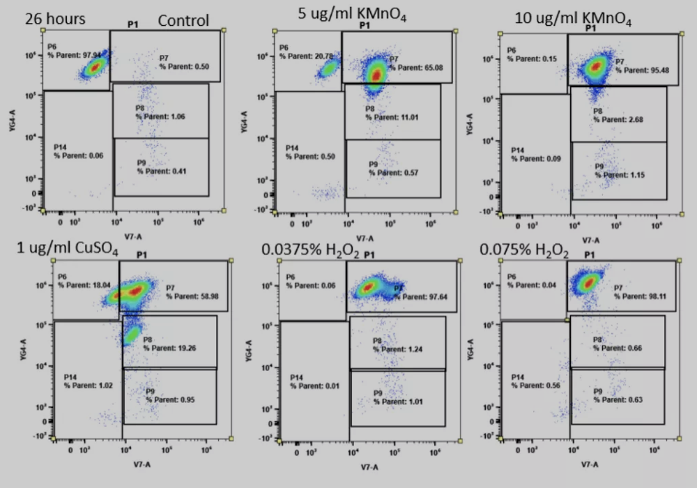 光谱流式奇妙之旅---不用荧光染料也做漂亮实验
