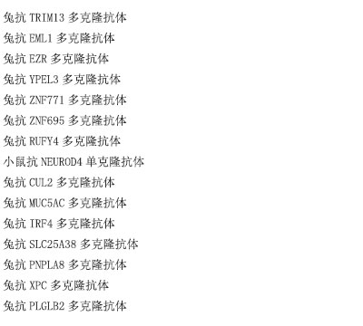 兔抗LZTS1多克隆抗体