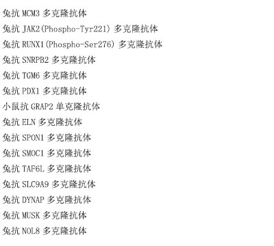 小鼠抗SERPINE2单克隆抗体