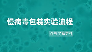 丁香实验推荐阅读