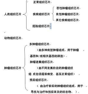 丁香实验推荐阅读