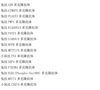 小鼠抗ZsGreen1单克隆抗体