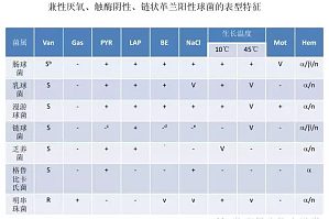丁香实验推荐阅读