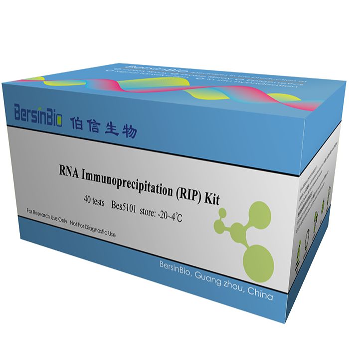 RNA免疫沉淀试剂盒（RIP Kit，12T）