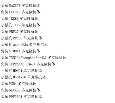 小鼠抗mOrange单克隆抗体