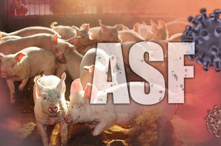 非洲猪瘟(ASFV)诊断的全面解决方案